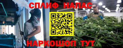 МДПВ Славянск-на-Кубани