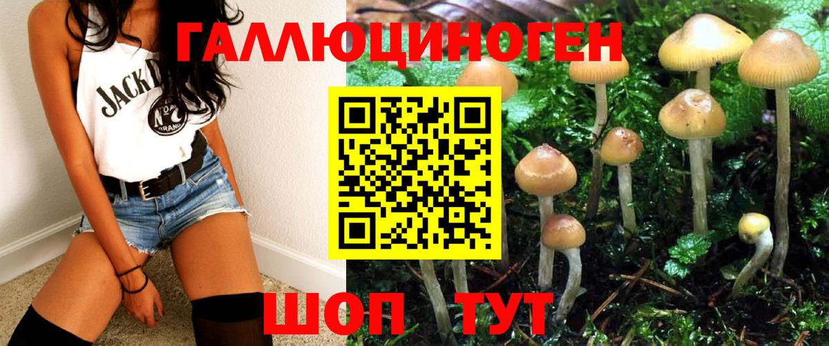 Псилоцибиновые грибы прущие грибы  Вход с VPN  Новороссийск 