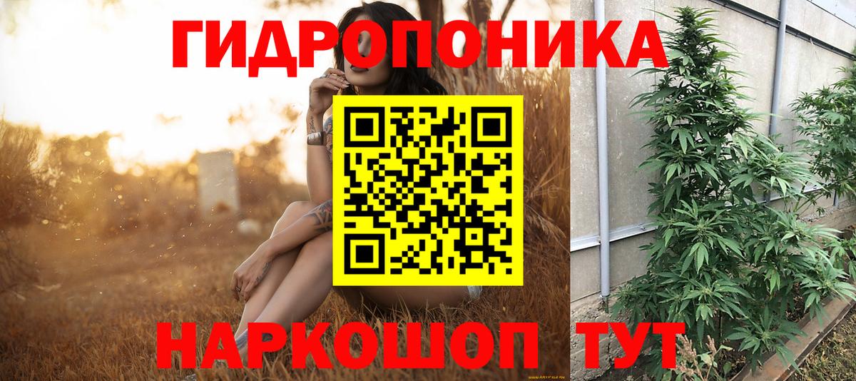 МАРИХУАНА Bruce Banner  Марихуана ГИДРОПОН  Новороссийск  Вход с VPN 